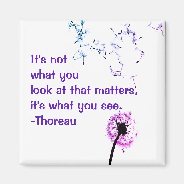 It's not what you look at Thoreau Magnet (Front)