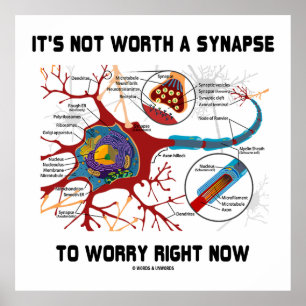 It's Not Worth A Synapse To Worry Right Now Neuron Poster