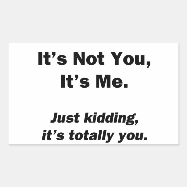 It's Not You, It's Me Rectangular Sticker (Front)