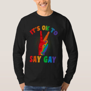 Its Ok To Say Gay Florida Its Ok To Say Gay Lgbt P T-Shirt