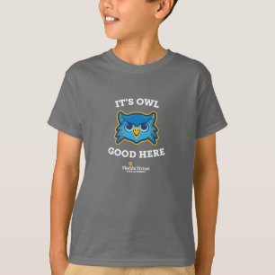 It's Owl Good Florida Virtual Middle School, Youth T-Shirt