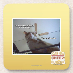 It's past my dinner time coaster