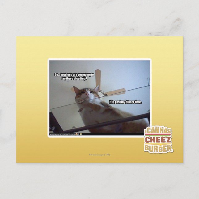 It's past my dinner time postcard (Front)