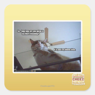 It's past my dinner time square sticker