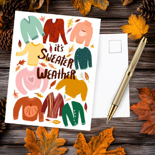 It's Sweater Weather Fall Autumn Seasonal Cute  Postcard
