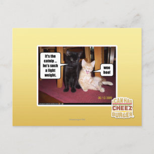 It's the catnip postcard