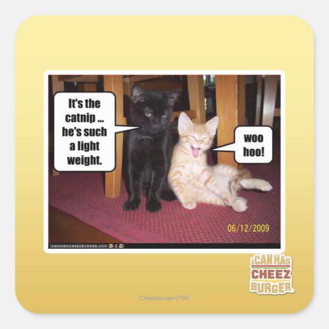 It's the catnip square sticker (Front)