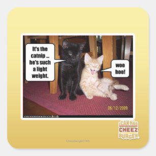 It's the catnip square sticker