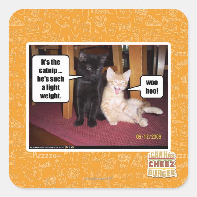 It's the catnip square sticker (Front)