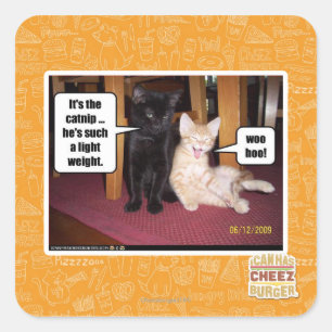 It's the catnip square sticker