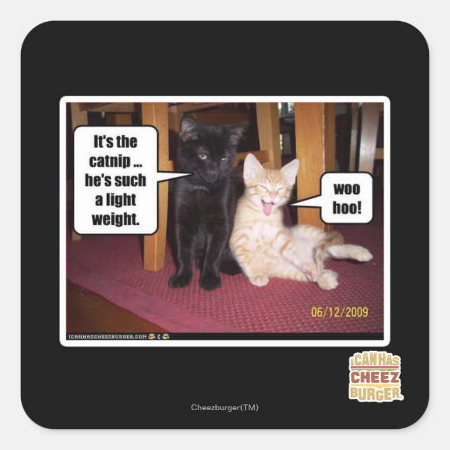 It's the catnip square sticker (Front)