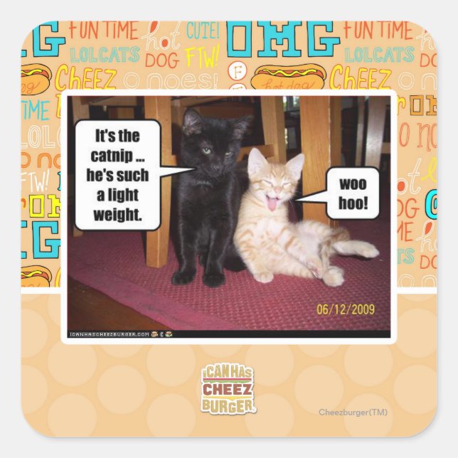 It's the catnip square sticker (Front)