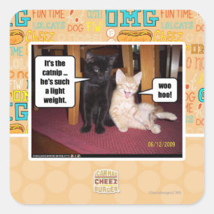 It's the catnip square sticker