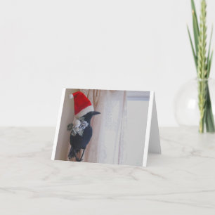 It's the Christmas Crow Holiday Card