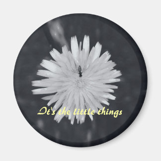 It's the Little Things Magnet