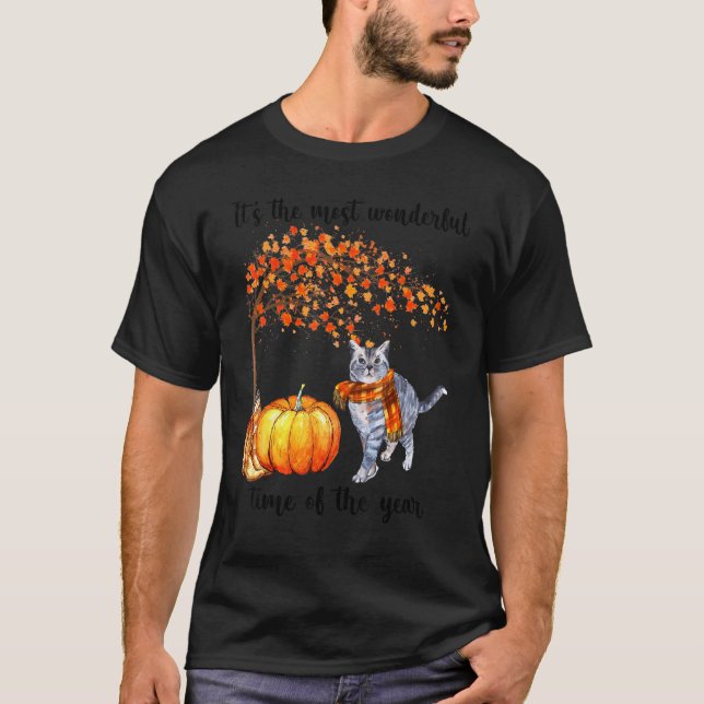 It's The Most Wonderful Autumn Time Cat Scarf Pump T-Shirt (Front)