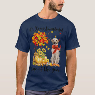 Its The Most Wonderful Autumn Time Labrador Pumpki T-Shirt