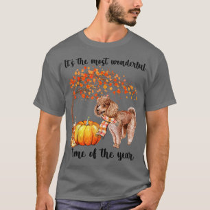 Its The Most Wonderful Autumn Time Poodle Lover Pu T-Shirt