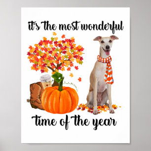 It's The Most Wonderful Time Of The Year Greyhound Poster