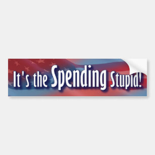 It's the Spending Stupid! Bumper Sticker