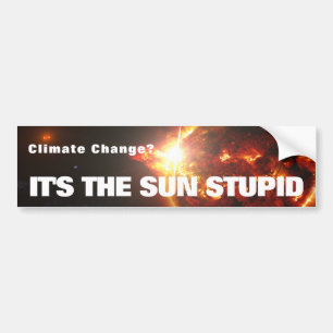 It's the Sun Stupid Bumper Sticker