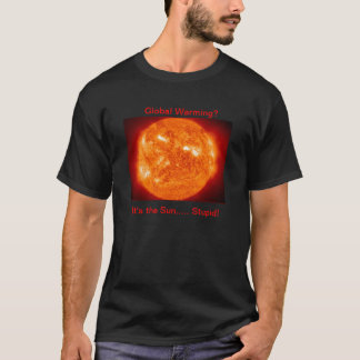 It's the Sun Stupid! T-Shirt