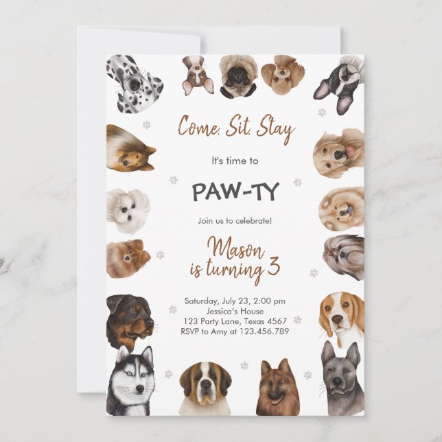 It's Time to Paw-ty Party Animals Kids Birthday Invitation (Front)