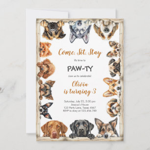 It's Time to Paw-ty Party Animals Kids Birthday Invitation