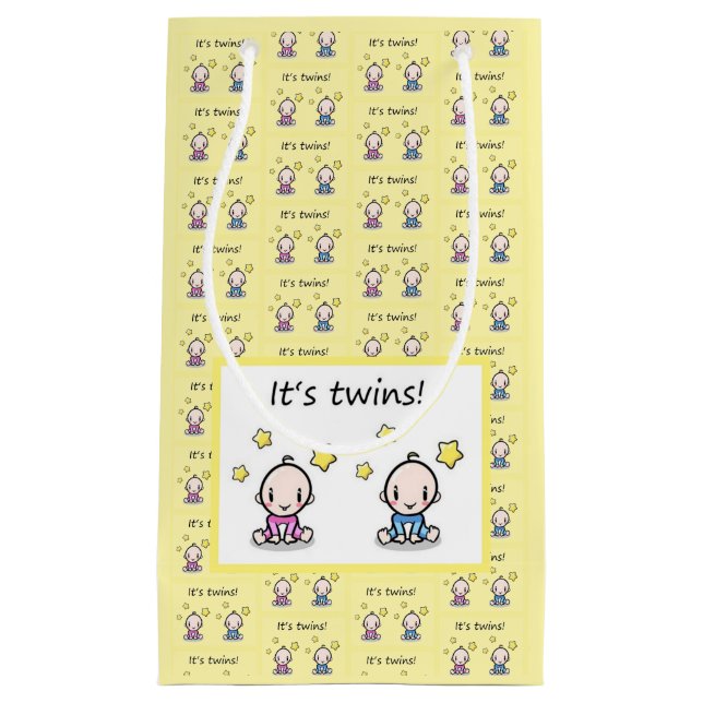 It's Twins Gift Wrap, Baby Shower Decoration,   Small Gift Bag (Front)