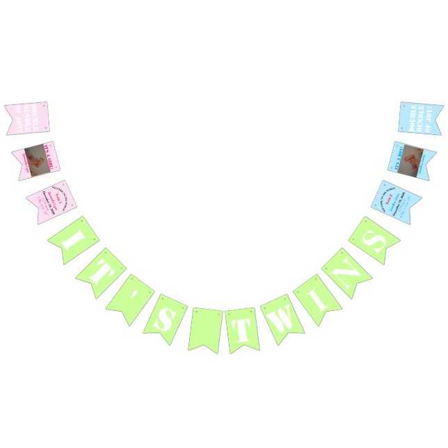 It's Twins Girl Boy Bunting Banner (All)