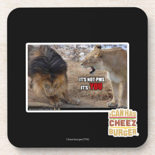 It's YOU! Coaster