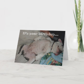 It's your birthday... card