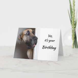It's Your Birthday Fun Great Dane Dog Humour Card