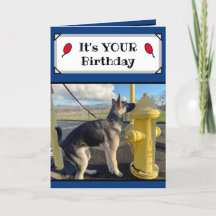 It's Your Birthday Funny Puppy Card