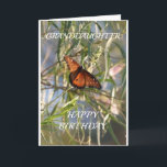 **IT'S YOUR BIRTHDAY** "GRANDDAUGHTER"  CARD<br><div class="desc">THANK YOU FOR STOPPING BY ONE OF MY EIGHT STORES!</div>