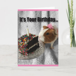 It's your birthday ...pig out card