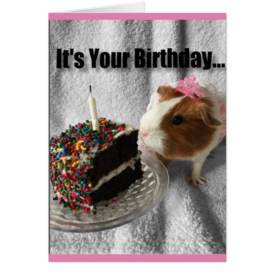 It's your birthday ...pig out card