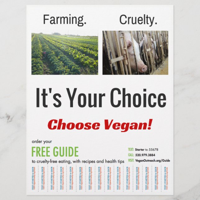 It's Your Choice Flyer (Front)