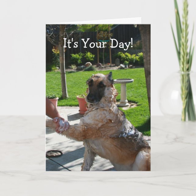 It's Your Day German Shepherd Birthday Card (Front)
