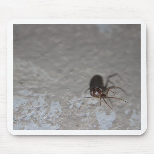 Itsy Bitsy Spider Mouse Mat (Front)