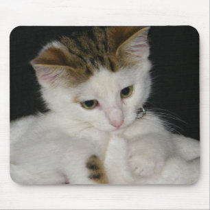 ITTY BITTY KITTY ALL IN WHITE MOUSE MAT