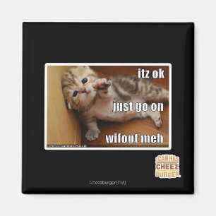 Itz ok, just go on wifout meh magnet