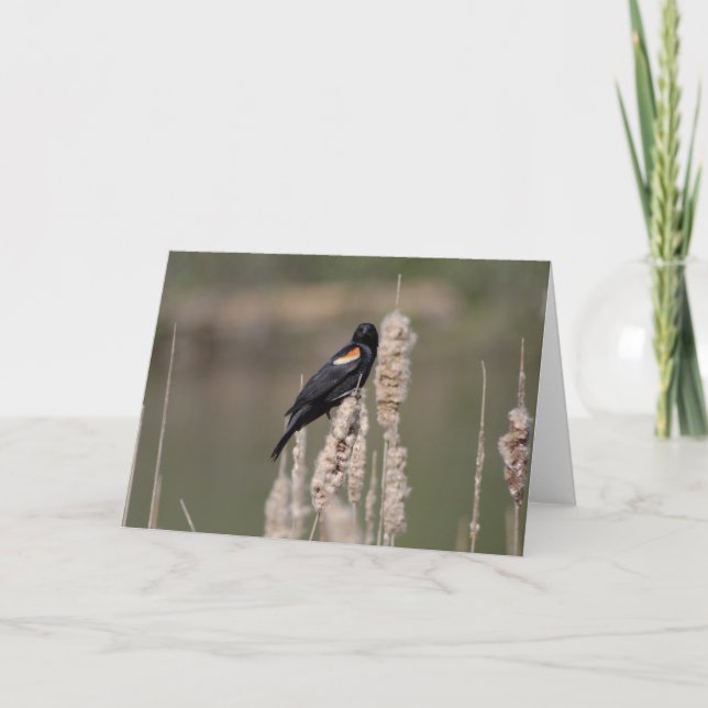 IV. Just a blackbird is also one Card (Front)