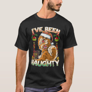 I've Been Naughty Pomeranian Dog With Santa Claus T-Shirt
