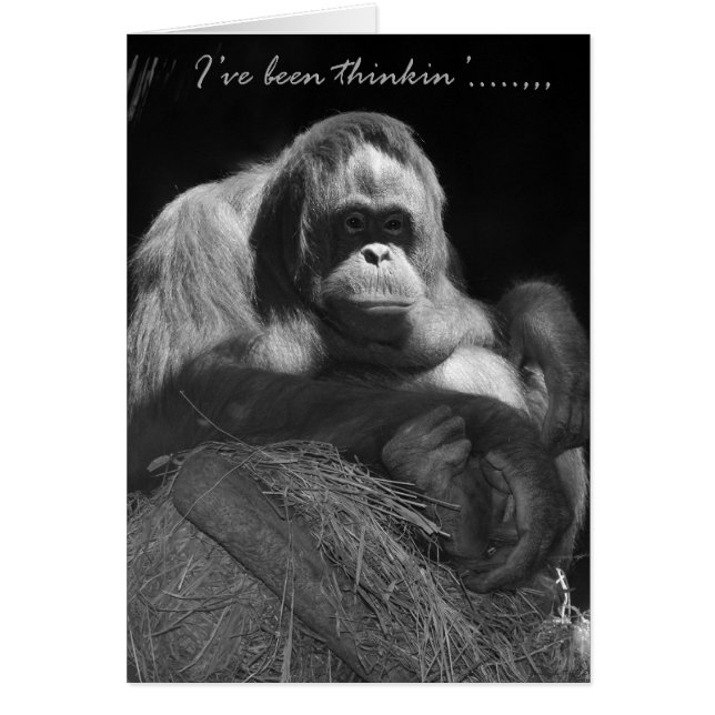 Ive Been Thinkin' (Front)