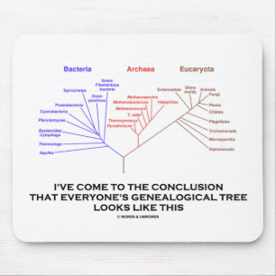 I've Come To The Conclusion Genealogical Tree Mouse Mat