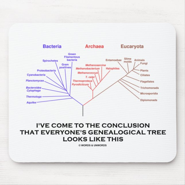 I've Come To The Conclusion Genealogical Tree Mouse Mat (Front)