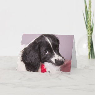 I've eaten Santa Claus Holiday Card