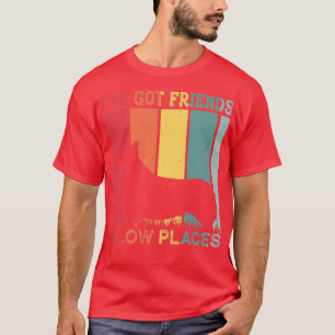 Ive Got Friends In Low Place Funny Vintage Dog Cor T-Shirt