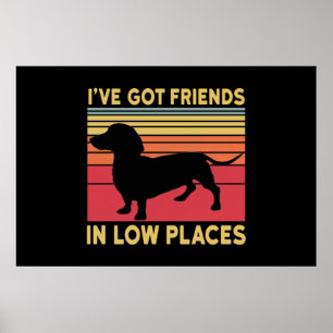 Ive got friends in low places poster